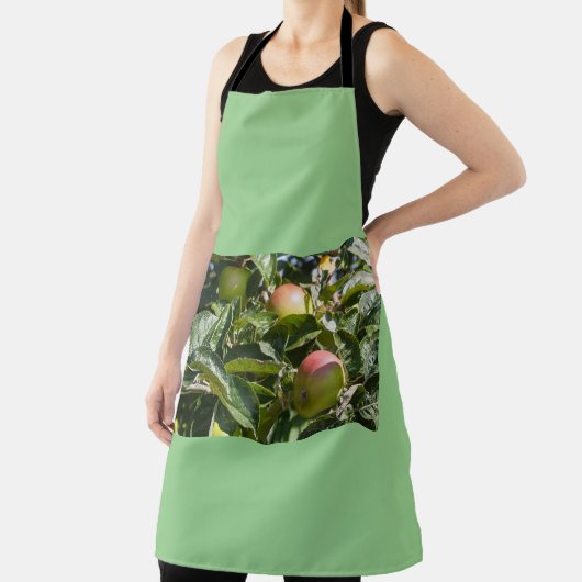 Äpfel reifen schürze (InSitu)