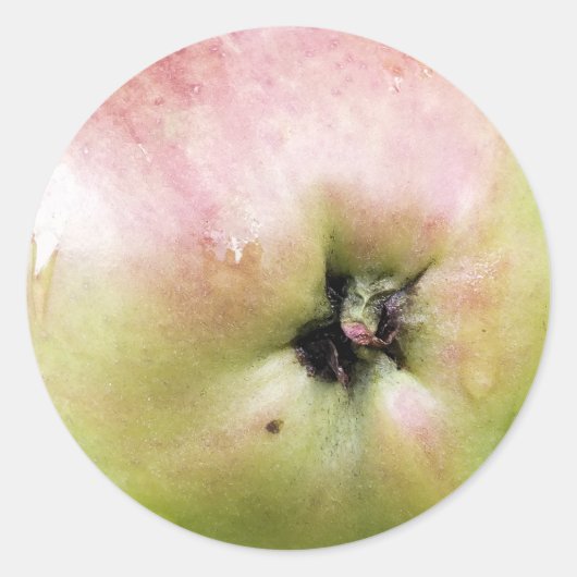 APFEL RUNDER AUFKLEBER (Vorderseite)