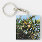 Äpfel Schlüsselanhänger (Vorderseite)