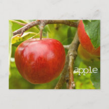 "Apfel"-Schrift Postkarte aus den Sprichwörtern 7: