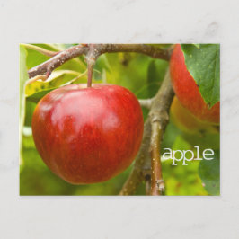 "Apfel"-Schrift Postkarte aus den Sprichwörtern 7: