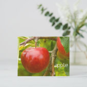 "Apfel"-Schrift Postkarte aus den Sprichwörtern 7: (Stehend Vorderseite)