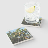 Äpfel Steinuntersetzer (Seitenansicht)