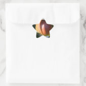 Apfel Stern-Aufkleber (Tasche)