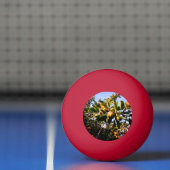 Äpfel Tischtennisball (Netto)