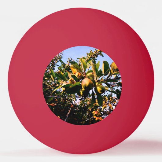 Äpfel Tischtennisball (Vorderseite)