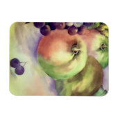 Äpfel Trauben Birnen Inspiriert - Fruchternte Magnet (Horizontal)