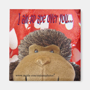 Apfel über dem Magneten Magnet