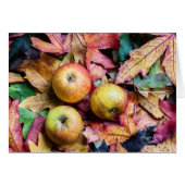 Äpfel und Herbstblätter leer (Vorderseite (Horizontal))