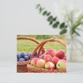 Äpfel und Pflaumen Postkarte (Stehend Vorderseite)