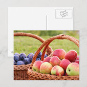 Äpfel und Pflaumen Postkarte (Vorne/Hinten)