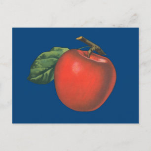 Apfel-Vintage-Fruchtillustration Postkarte