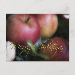 Äpfel - Weihnachtspostkarte Feiertagspostkarte