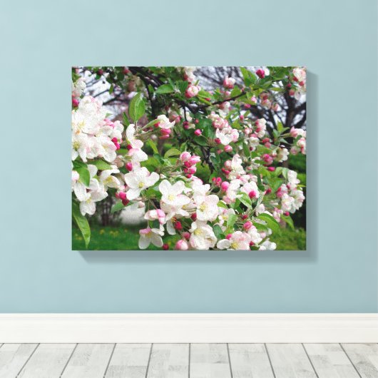 Apfelbaum blüht. leinwanddruck (Insitu (Holzboden))