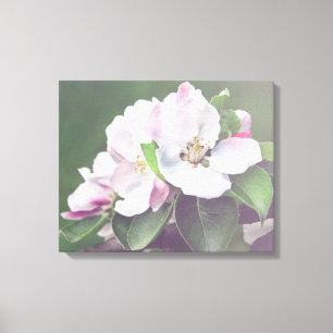 Apfelbaum Blüten Frühling Leinwand Wandkunst