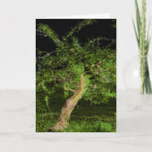 Apfelbaum: digital erweiterter bearbeiteter, getip karte (Vorderseite)