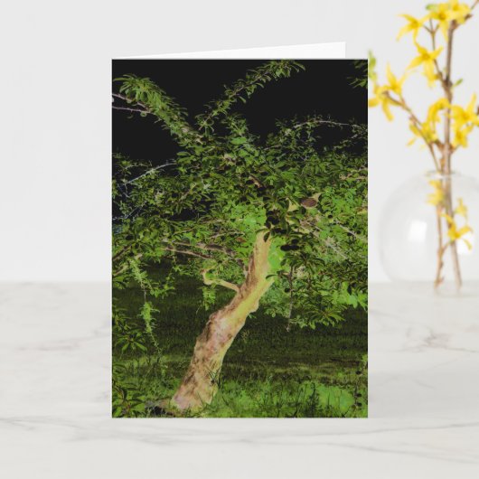 Apfelbaum: digital erweiterter bearbeiteter, getip karte (Gelbe Blume)