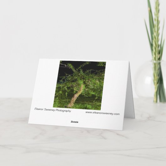 Apfelbaum: digital erweiterter bearbeiteter, getip karte (Rückseite)