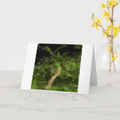 Apfelbaum: digital erweiterter bearbeiteter, getip karte (Gelbe Blume)