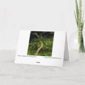 Apfelbaum: digital erweiterter bearbeiteter, getip karte (Rückseite)