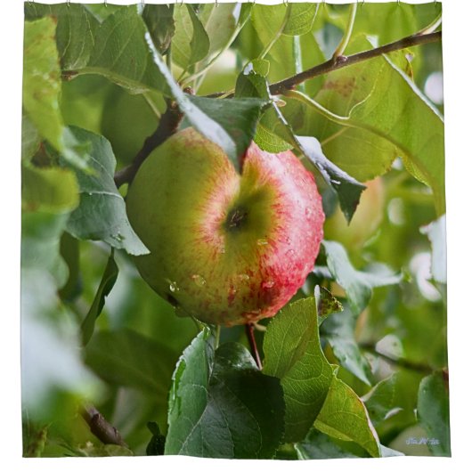 Apfelbaum Duschvorhang (Vorderseite)