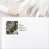 Apfelbaum im Blut (Insitu)