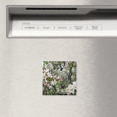 Apfelbaum im Blut Magnet (In Situ (Geschirrspüler))