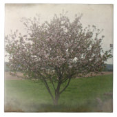 Apfelbaum in Bloom Fliese (Vorderseite)