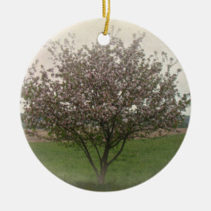 Apfelbaum in Bloom Keramikornament