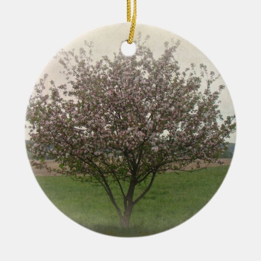 Apfelbaum in Bloom Keramikornament (Vorne)