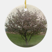 Apfelbaum in Bloom Keramikornament (Hinten)