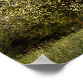 Apfelbaum in Blüte Poster (Ecke)