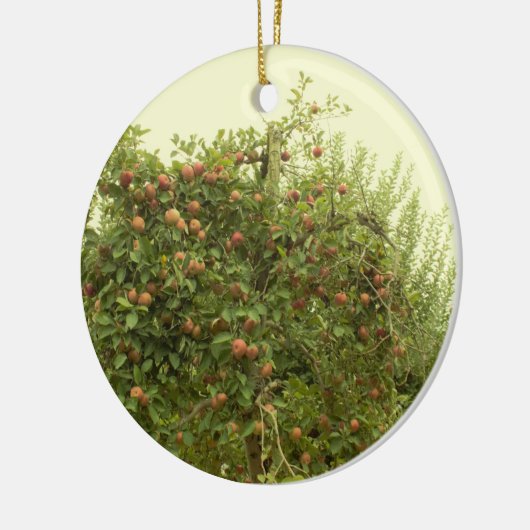 Apfelbaum Keramikornament (Links)