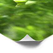 Apfelbaum Poster (Ecke)