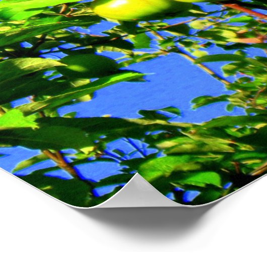 Apfelbaum Poster (Ecke)