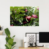 Apfelbaum Poster (Heimbüro)