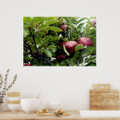 Apfelbaum Poster (Küche)