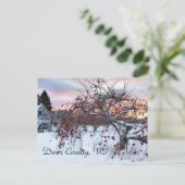 Apfelbaum Postkarte (Stehend Vorderseite)