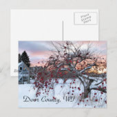 Apfelbaum Postkarte (Vorne/Hinten)