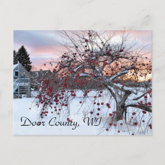 Apfelbaum Postkarte (Vorderseite)