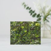 Apfelbaum Postkarte (Stehend Vorderseite)