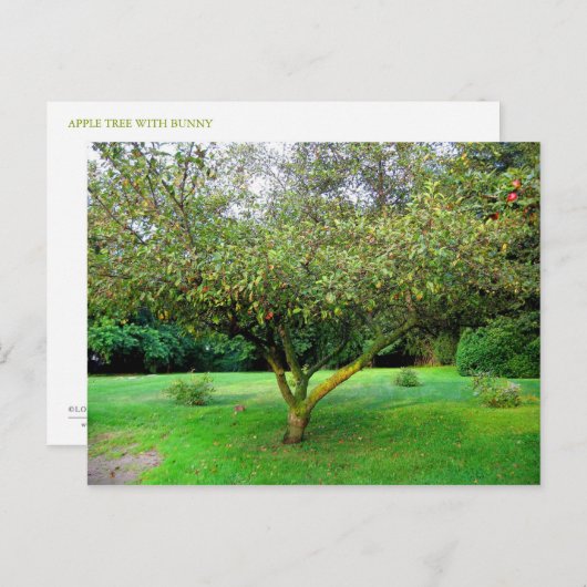Apfelbaum Postkarte (Vorne/Hinten)