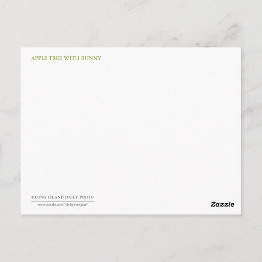 Apfelbaum Postkarte (Rückseite)