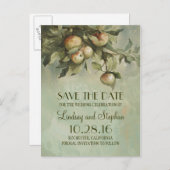 Apfelbaum rustikale Save the Date Postkarten (Vorne/Hinten)