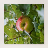 Apfelbaum schwierige grüne Wald Vollsaison Puzzle (Vertikal)