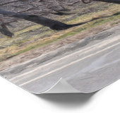 Apfelbäume in einer Rowöl-Foto-Malerei Poster (Ecke)