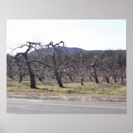 Apfelbäume in einer Rowöl-Foto-Malerei Poster (Vorne)