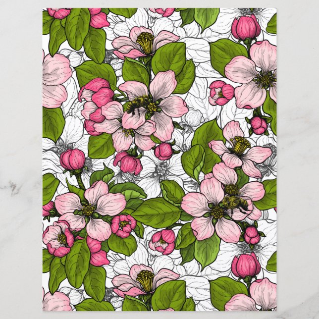 Apfelblüte auf weiß (Vorderseite)