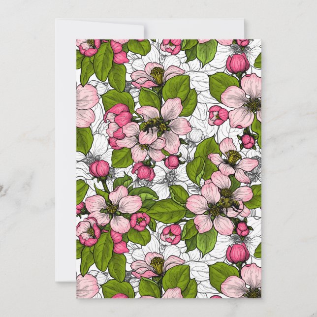 Apfelblüte auf weiß (Vorderseite)