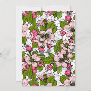 Apfelblüte auf weiß